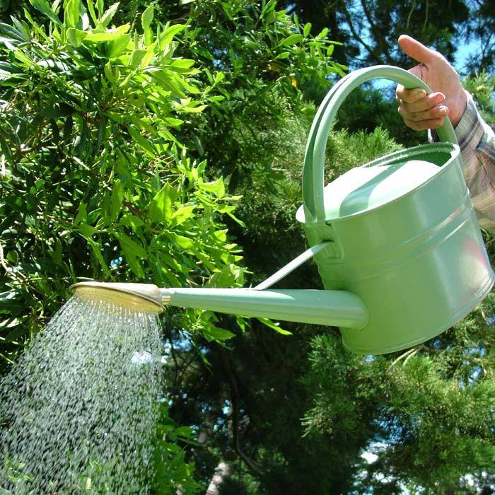 Haws Watering Can Spray image